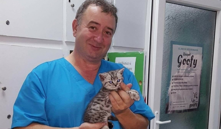 Doctorul veterinar Tache Epure, cu o felină British Shorthair