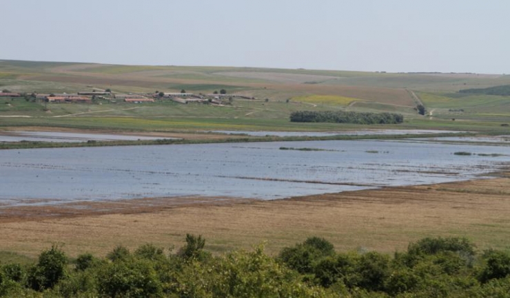 300 de hectare de teren agricol din zona Gârliciu sunt acoperite cu apă