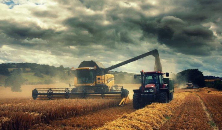 Producția agricolă a României ar putea crește în acest an cu 5%