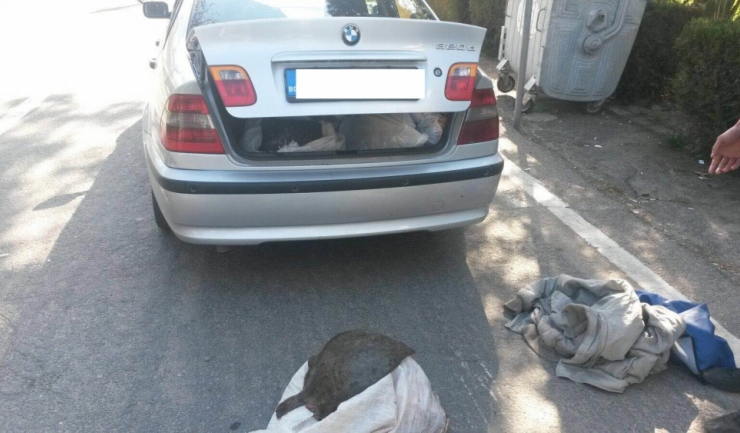 BMW-ul la bordul căruia au fost descoperite 84 kg de calcan
