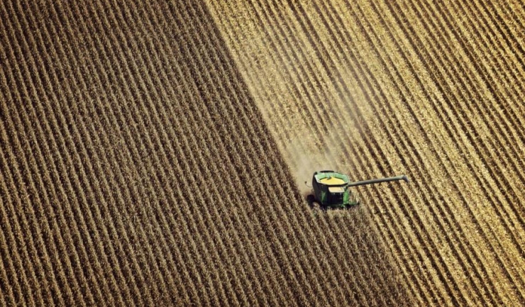 Zone agricole mari din Dobrogea înregistrează deficite mari de umiditate în sol, la cultura grâului de toamnă, avertizează ANM