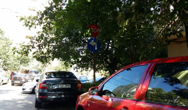 Pe strada Dragoslavele, în zona complexului comercial de pe strada Unirii, semnele de circulație sunt acoperite de crengile copacilor din zonă