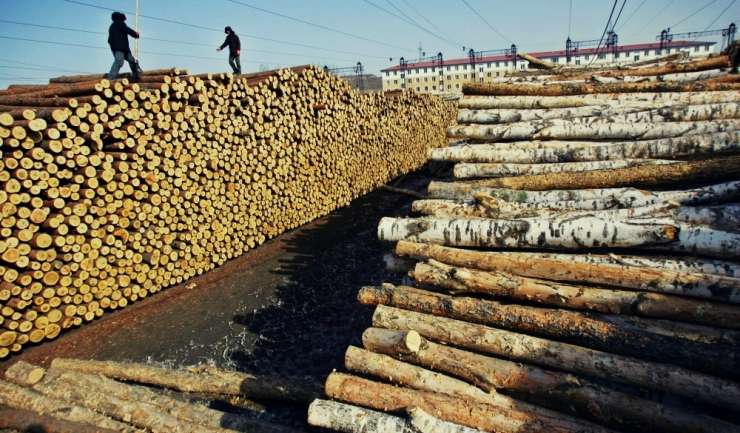 Exporturile de lemn ale României sunt de peste 2,5 ori mai mari decât importurile