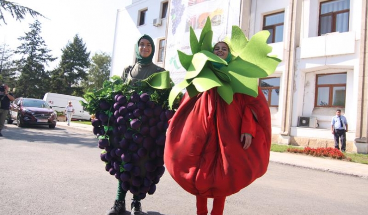 Roșioara și Strugurelul sunt mascotele Sărbătorii Recoltei și a Vinului Dobrogean din acest an