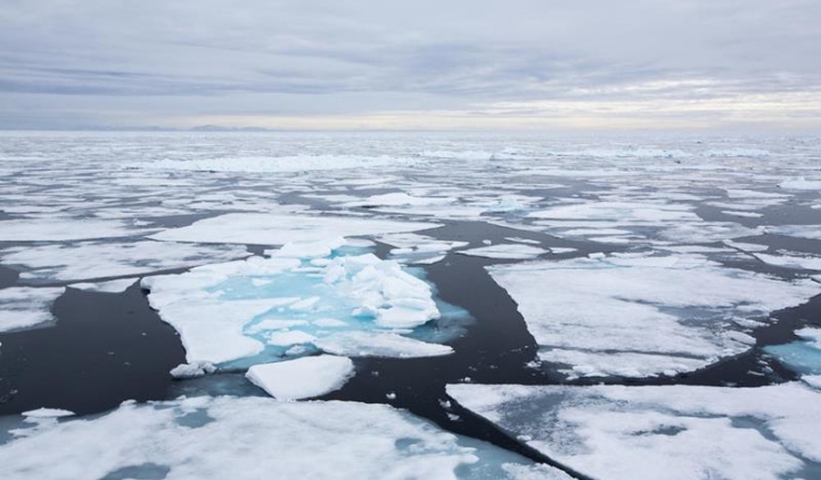 Peste 20 de ani, gheața din Arctica ar putea fi doar o amintire pe timpul verii