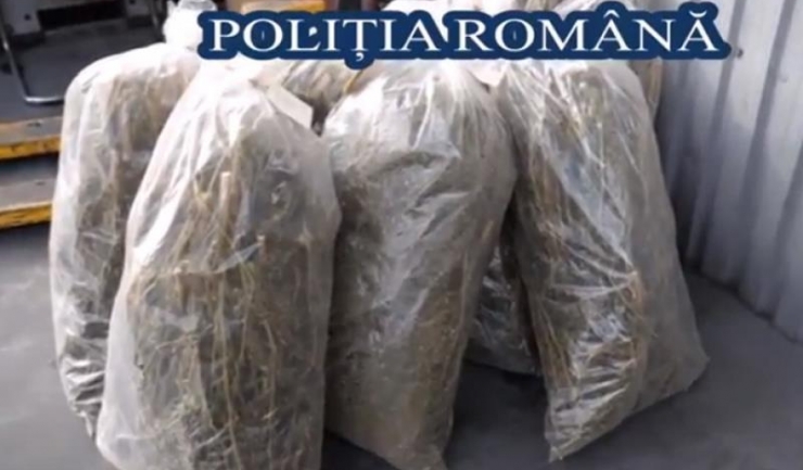 Drogurile confiscate în cadrul a 510 dosare penale au fost distruse