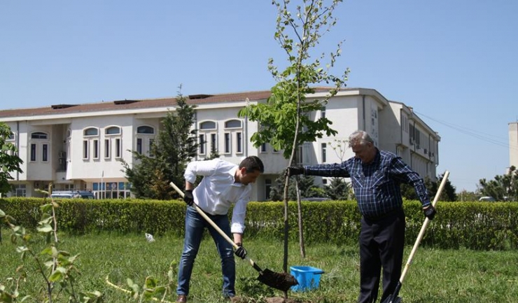 Primii 50 de copaci au fost plantați  Parcul de la Campusul Universității „Ovidius“ își va schimba înfățișarea!  	Universitatea ”Ovidius” din Constanța (UOC) și administrația locală au vrut să arate că între cele două instituții există o bună colaborare,