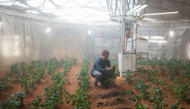 Imagine din filmul „Marţianul”, în care Matt Damon cultivă cartofi