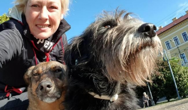Monique Dubbeldam cere autorităților române să amelioreze situația câinilor fără stăpân