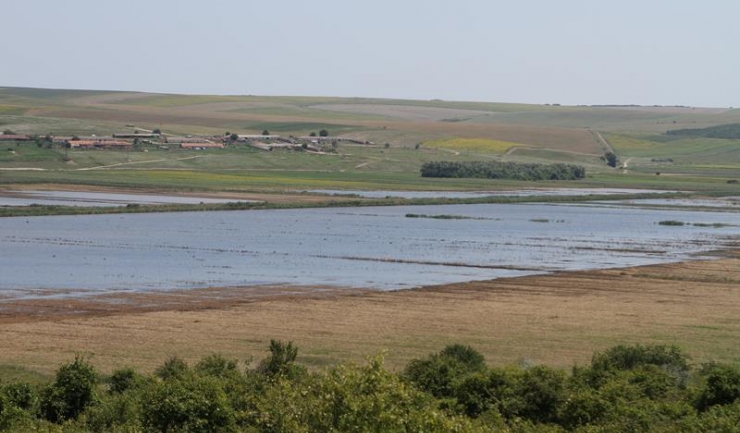 500 de hectare de teren agricol din zona Ciobanu - Gârliciu au fost inundate, din cauza infiltrațiilor și creșterii debitului Dunării