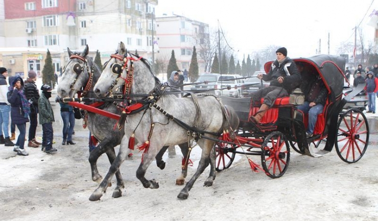 Cei mai frumoși cai din comuna Mihail Kogălniceanu s-au întrecut, în ziua de Bobotează, în competiții de frumusețe și viteză
