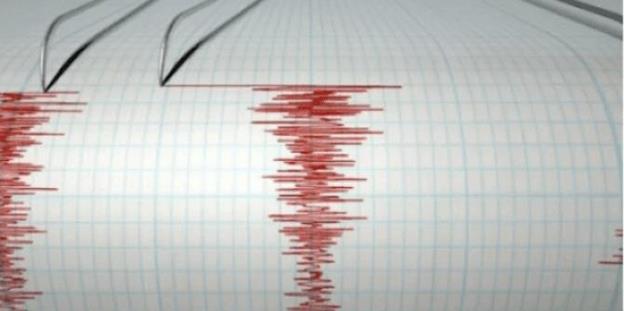 Două cutremure produse în Vrancea într-un interval scurt