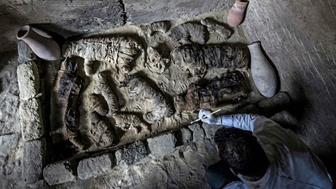 Arheologii egipteni au descoperit, sâmbătă, șapte morminte „fără vârstă”, în apropierea capitalei Cairo, care conțin zeci de mumii de pisici, dar şi unele unice de scarabei