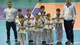 CS Marina Constanța a obținut 13 medalii la Taekwondo WTF, la Botoșani