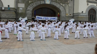 Constanța devine în weekend capitala taekwondo-ului românesc