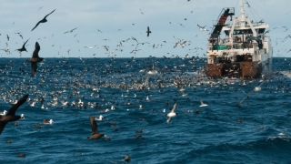 Zeci de nave de pescuit, aruncate în aer de autoritățile indoneziene