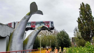 O sculptură sub formă de balenă din Olanda a salvat o garnitură de metrou scăpată de sub control