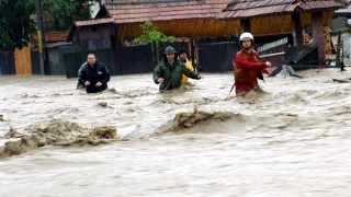 Mai multe gospodării au fost inundate în urma ploilor torenţiale