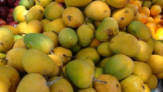 2.000.000 de kg de mango în exces, în Filipine! Ce s-a întâmplat