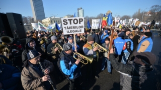 Mii de reprezentanți din industria lemnului protestează în Piața Victoriei