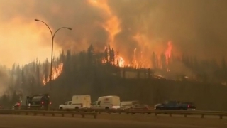 Zeci de mii de persoane sunt sinistrate în urma incendiilor de pădure din Canada