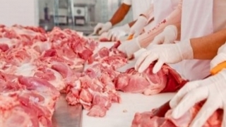 Două tone de carne stricată au fost găsite într-un abator