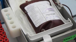Acțiune de donare de sânge la Parohia „Schitu“. Vezi când și ce trebuie să faci!