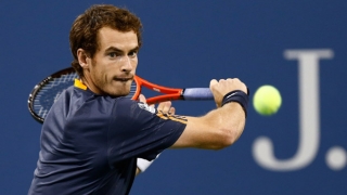 Andy Murray, eliminat în sferturi la US Open