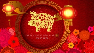 Astăzi începe Noul An Chinezesc! Cum va fi anul Porcului de pământ