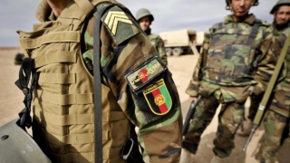 Zeci de talibani au fost uciși în Kandahar de forțele de securitate