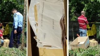 Buletine de vot găsite în gunoi, la Cernavodă! Se cere anularea alegerilor