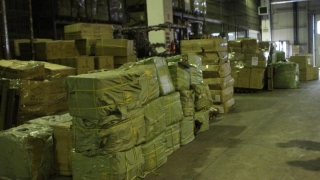Jucării de peste 500.000 de lei, confiscate în port!