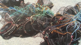 Peste o sută de cuști de pescuit găsite în Marea Neagră