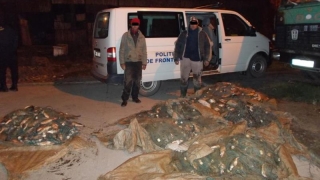 Polițiștii au confiscat peste 300 kg de pește