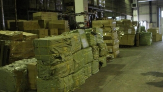 Mii de jucării contrafăcute confiscate în port