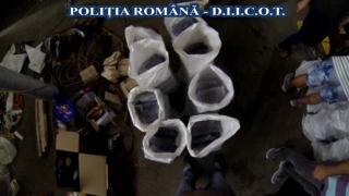 Cum au capturat românii cocaină de 625 de milioane de euro