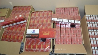 65.000 de pachete de țigări, confiscate în Portul Constanța