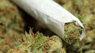 8% dintre adolescenți au consumat marijuana cel puțin o dată