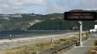 Alertă de tsunami în Noua Zeelandă