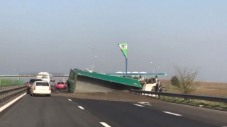 Camion cu floarea-soarelui, răsturnat pe autostrada A2