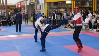 Campionatul Naţional de Kung-Fu, la Constanța
