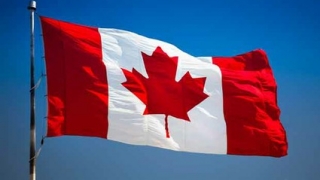 Canada își anunță candidatura pentru un loc de membru nepermanent în Consiliul de Securitate al ONU