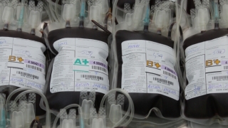 Anchetă după ce doi pacienți au murit în urma unor transfuzii