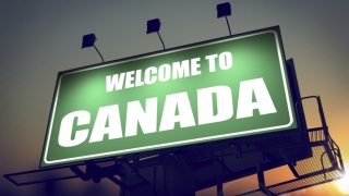 Canada va primi anul acesta 1.200 de refugiați yazidi din Irak