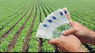 APIA începe plata subvențiilor pentru fermieri