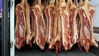 Peste 1 tonă de carne de porc din import, sub sechestru. Suspiciune de pestă porcină