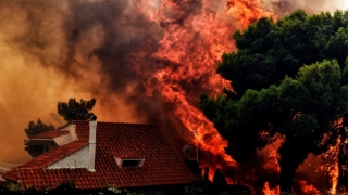 Catastrofă în Grecia! Cel puţin 50 de oameni şi-au pierdut viaţa în incendii!