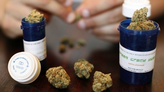 Australia legalizează cultivarea marijuanei în scopuri medicale