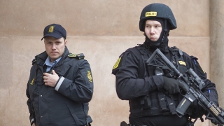 Azilant periculos arestat în Danemarca