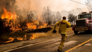 California, în flăcări! Mii de hectare de pădure au ars precum torţele
